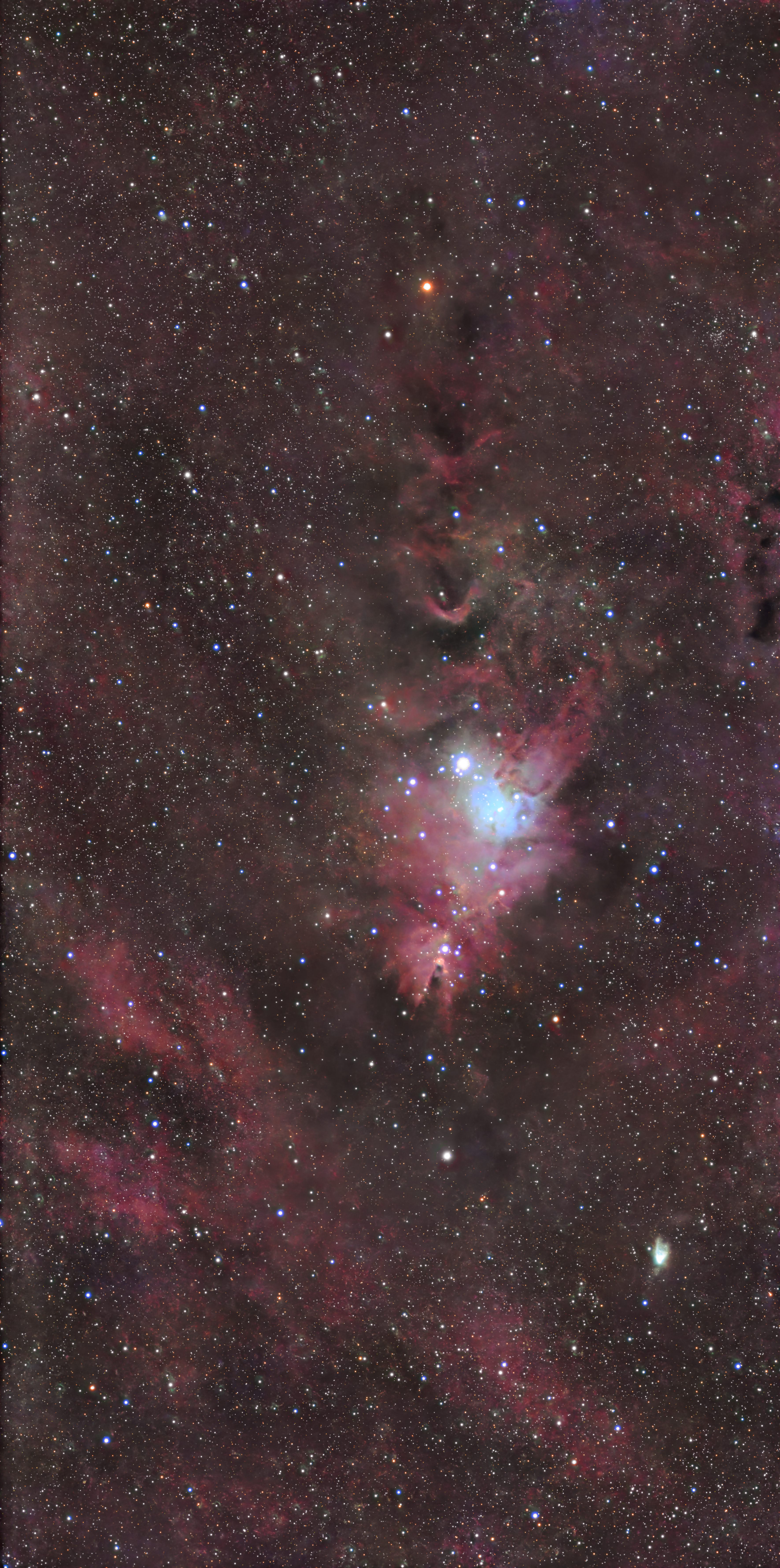 NGC 2264 (Christmas Tree Cluster)